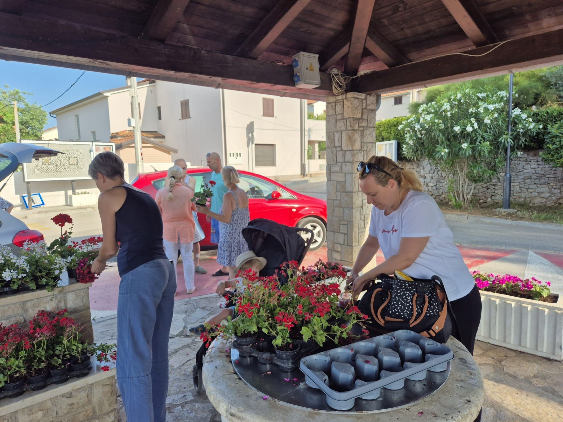 Povodom Dana Općine Medulin podijeljene sadnice cvijeća mještanima