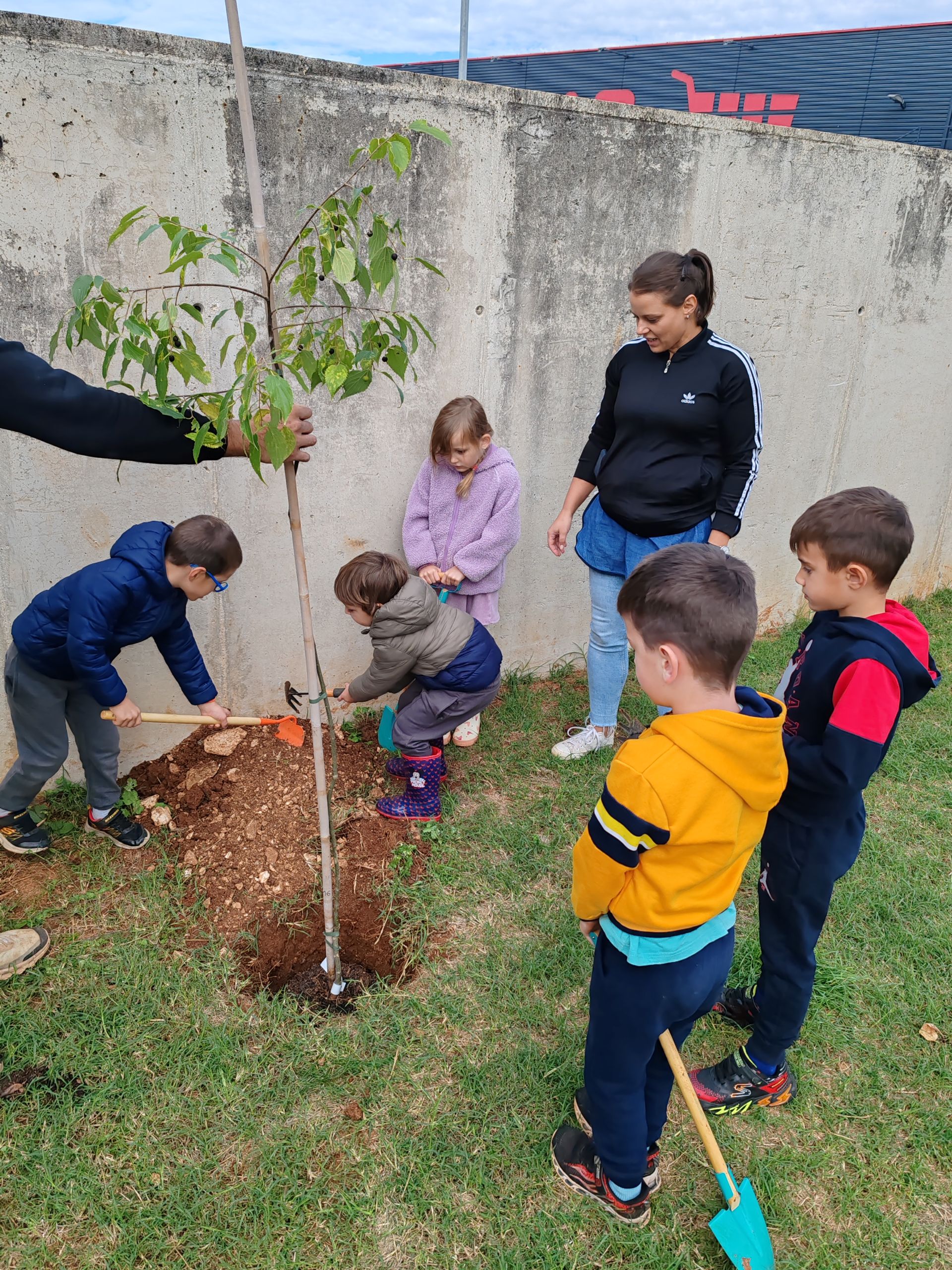 Nova stabla u dvorištu Dječjeg vrtića Medulin