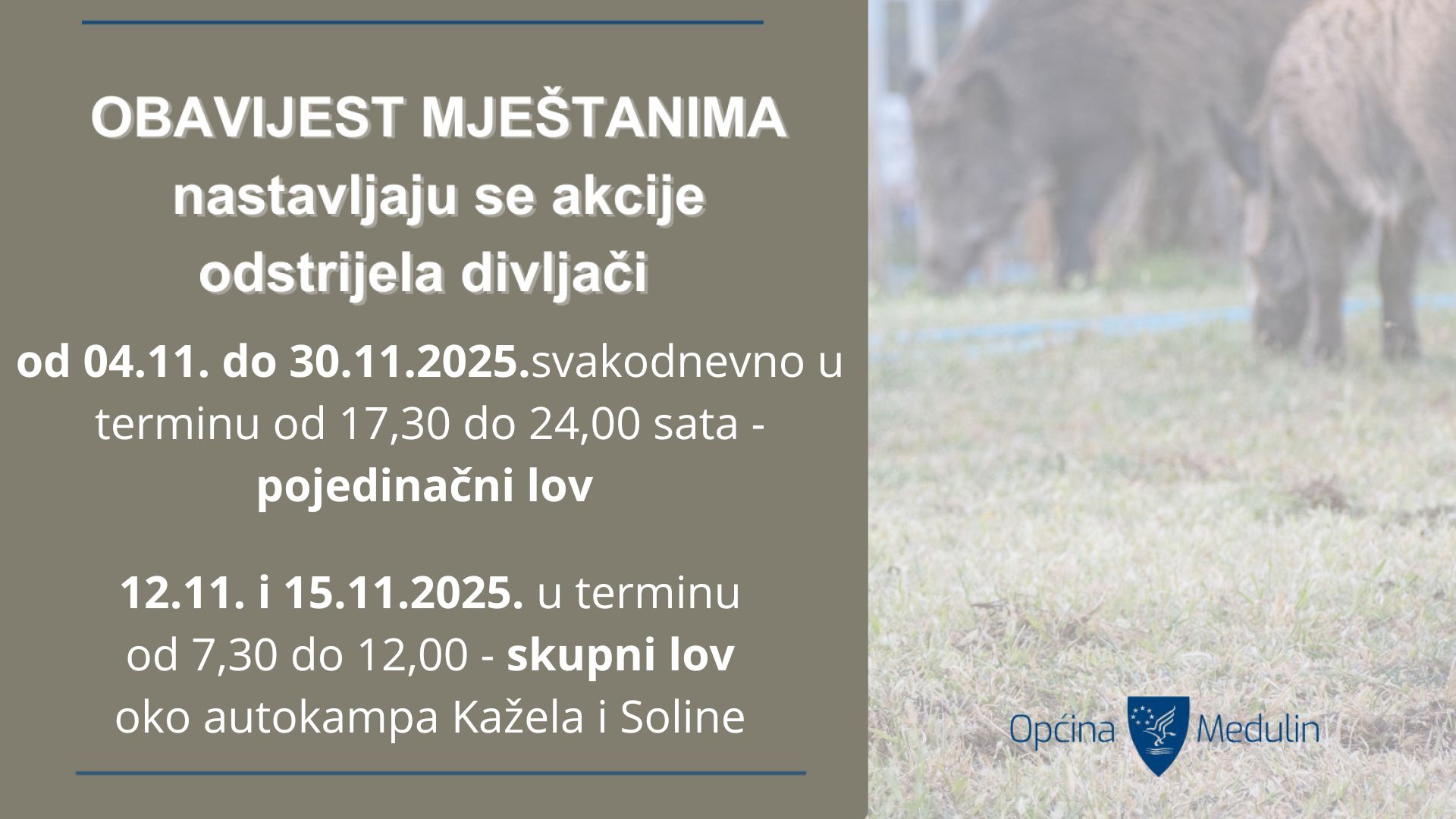 Obavijest mještanima - nastavlja se akcija odstrijela divljači na području općine Medulin
