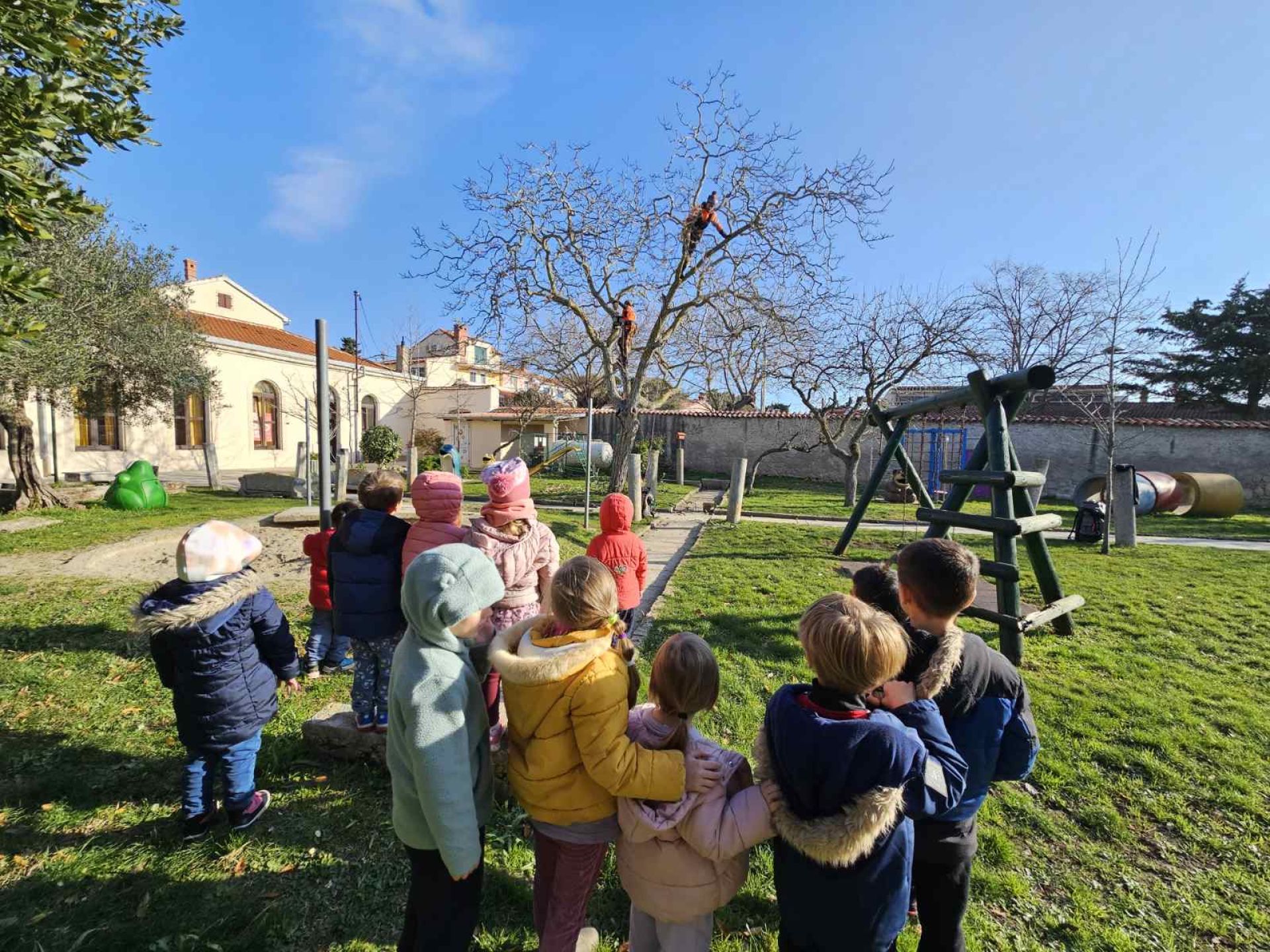 U DV Medulin u Premanturi provedeno orezivanje stabala i sadnja mlade ladonje