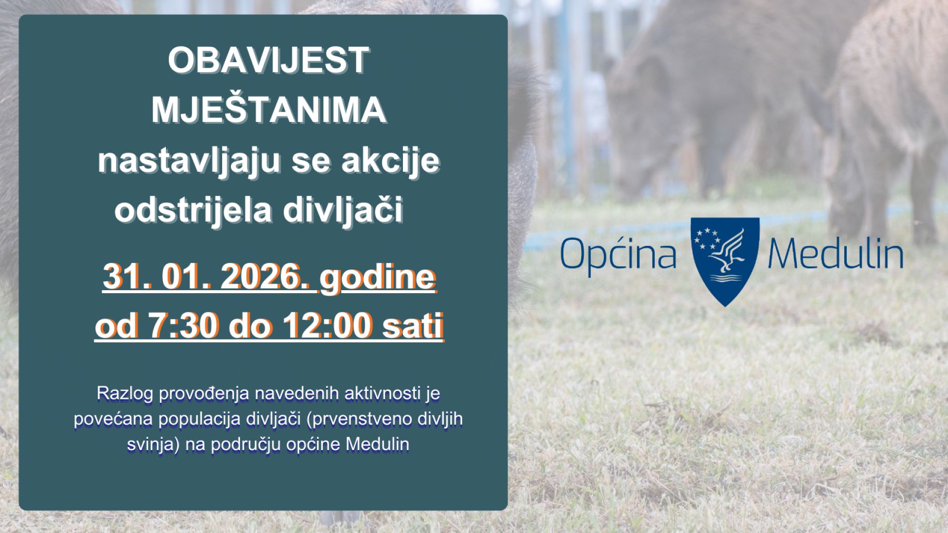 Obavijest mještanima - nastavlja se akcija odstrijela divljači na području općine Medulin 31.01.2026.