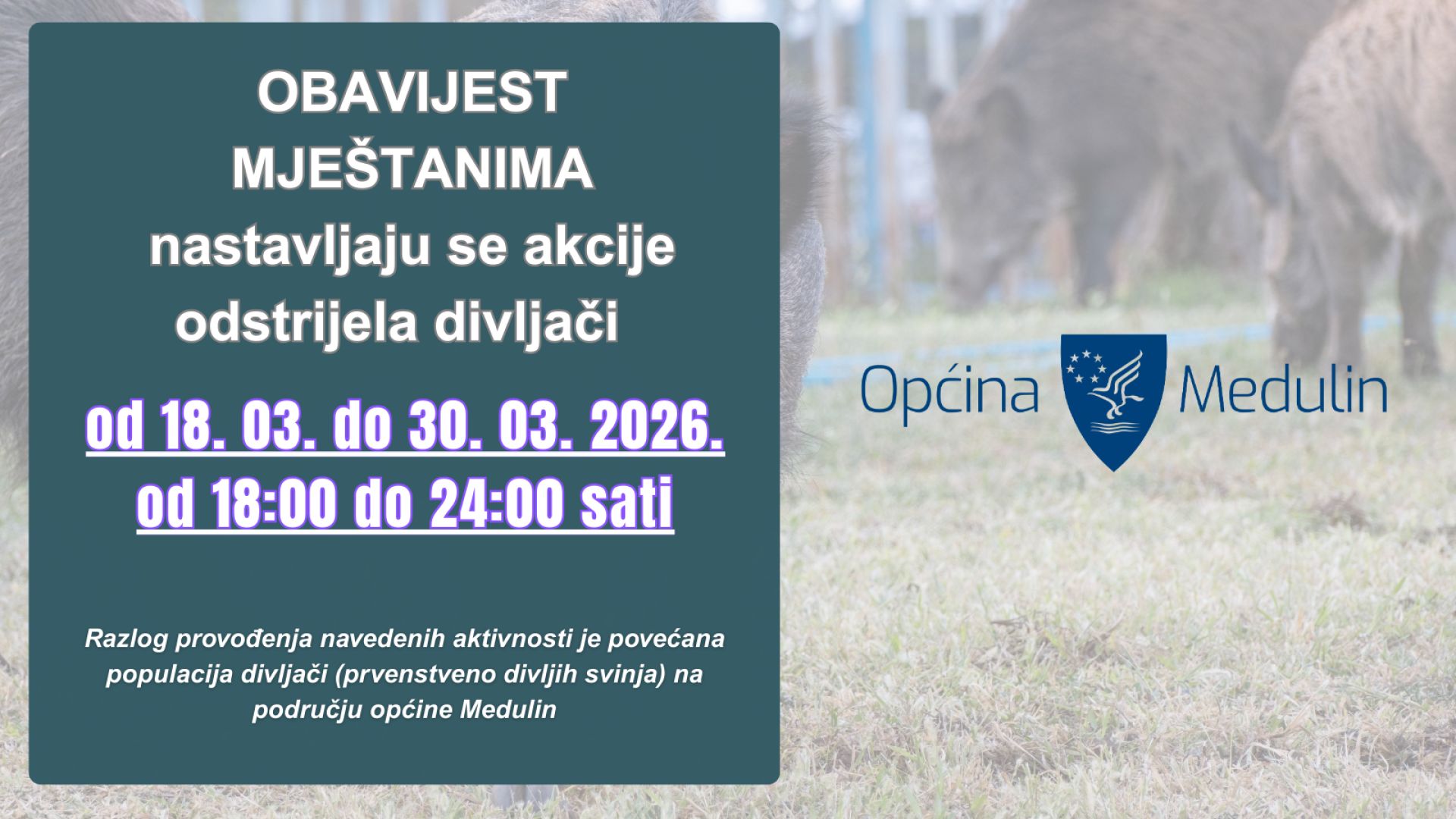 Obavijest mještanima - nastavlja se akcija odstrijela divljači na području općine Medulin 18.3-30.3.2026.