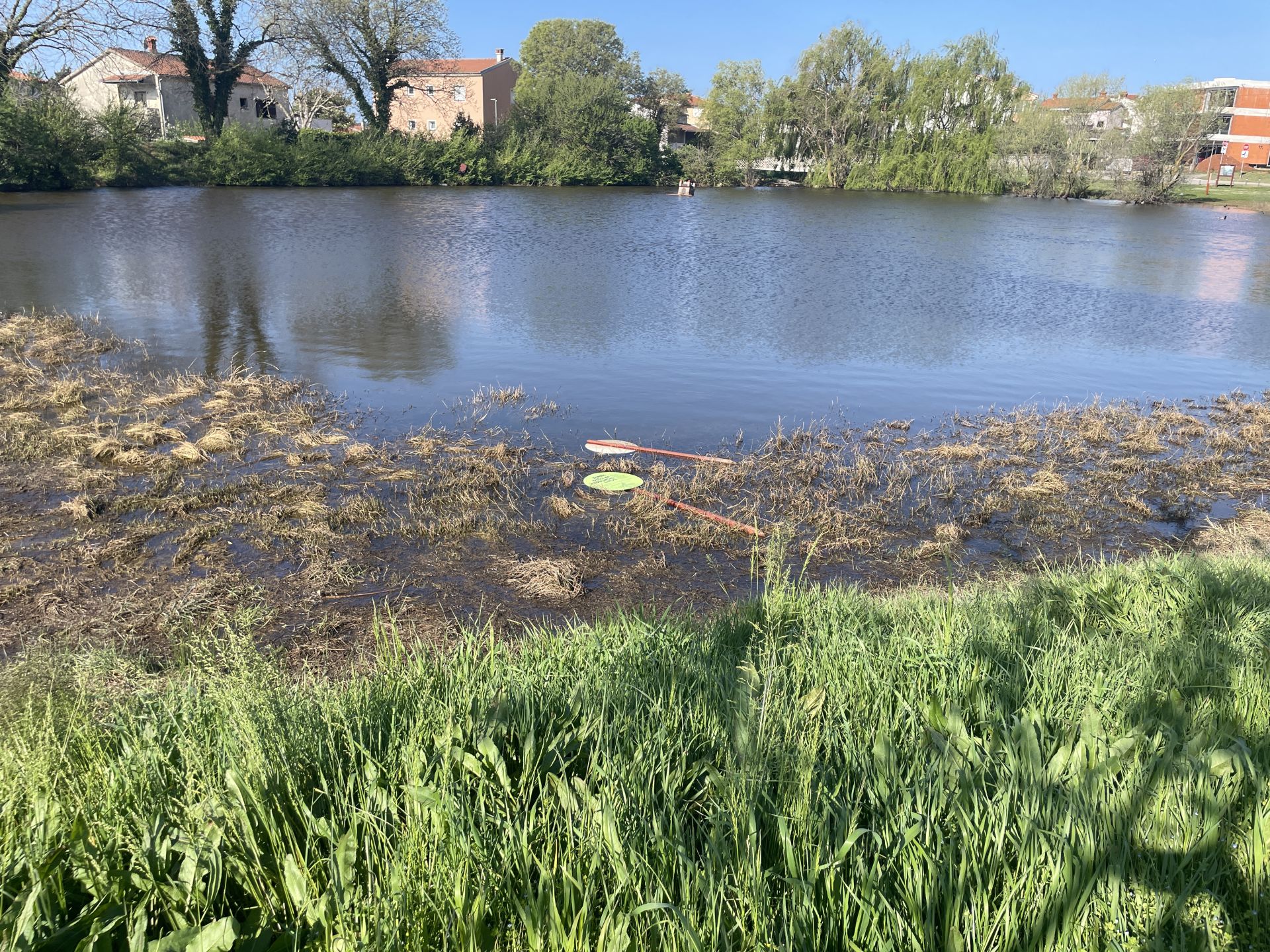Čuvajmo Medulinsku lokvu – naš mali ekosustav velike vrijednosti koji zaslužuje poštovanje