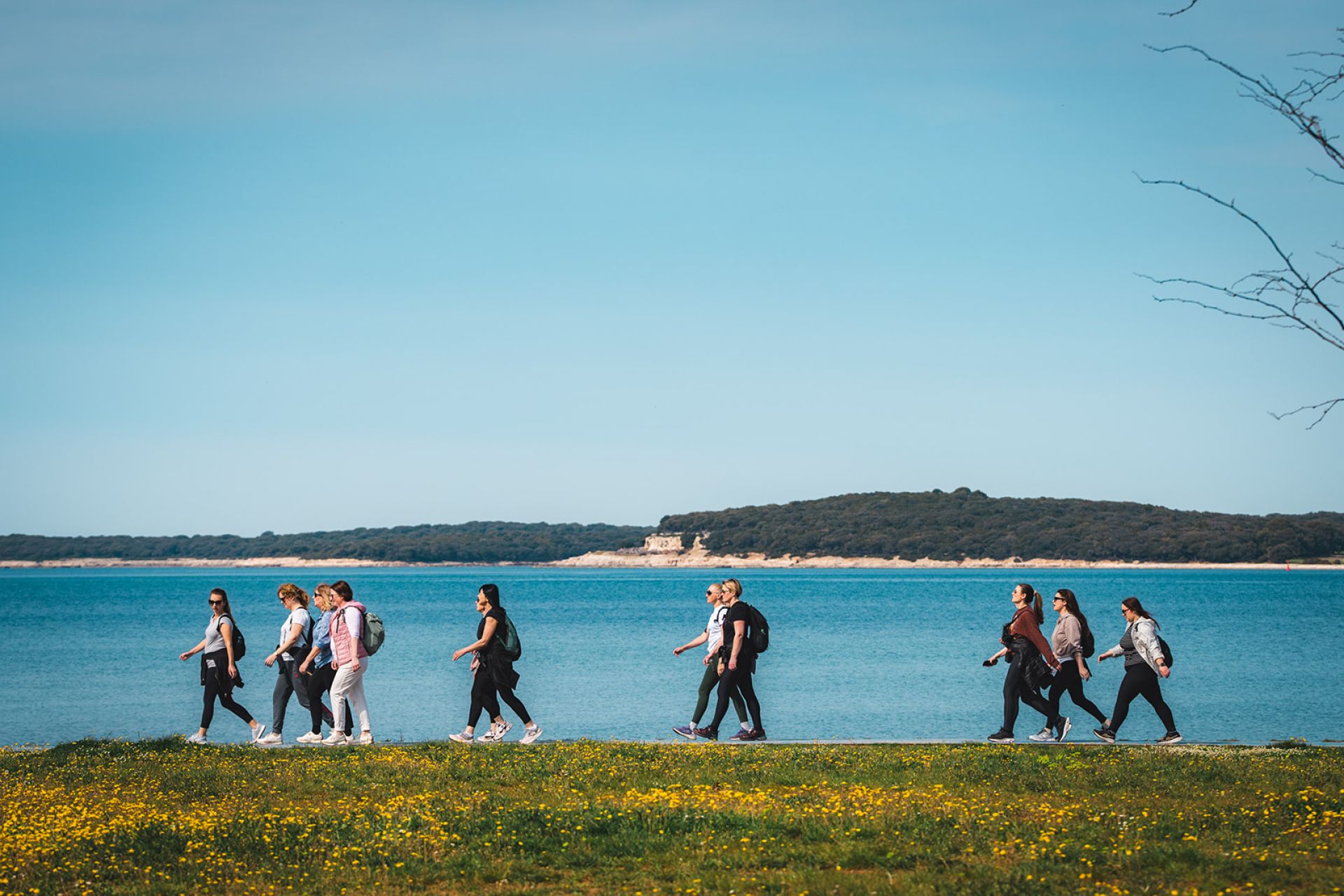 Camino south Istria osvojio 1. nagradu ECTN Awards 2026